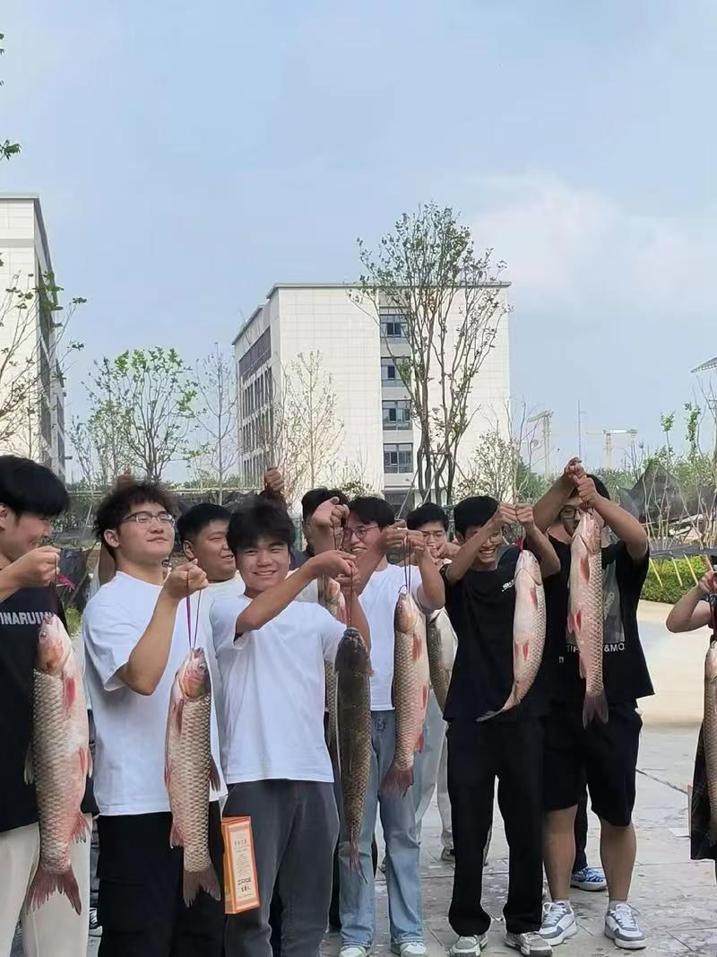初高中辅导