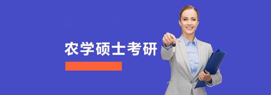 考研培训