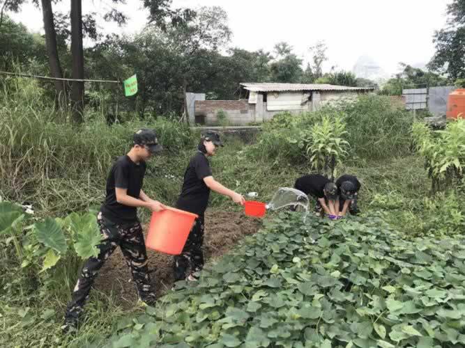 叛逆教育机构