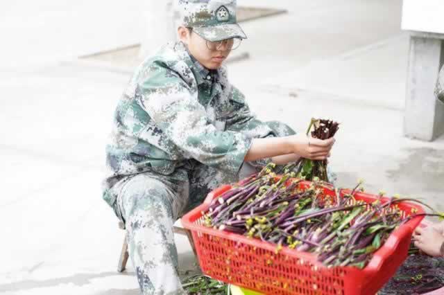 叛逆教育机构