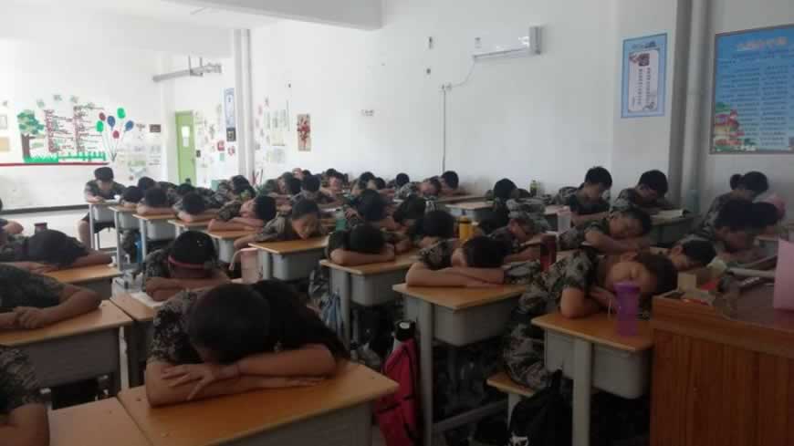 叛逆教育机构