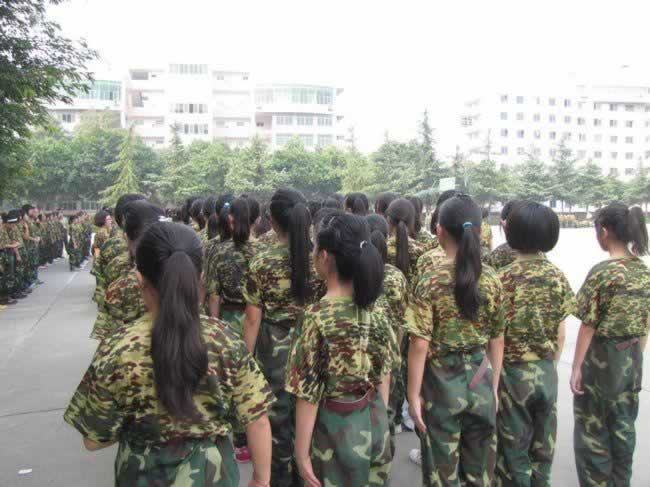 叛逆教育机构