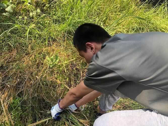 叛逆教育机构