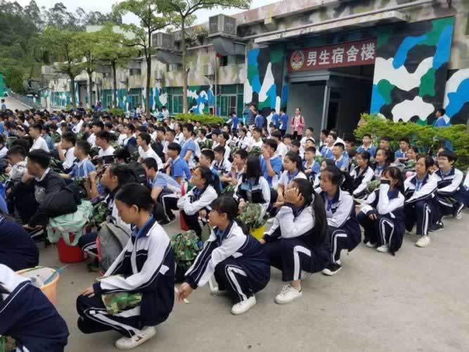 叛逆教育机构