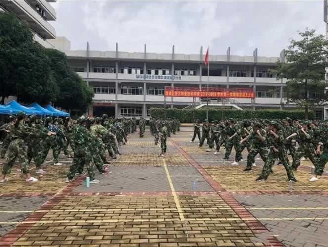 叛逆教育机构