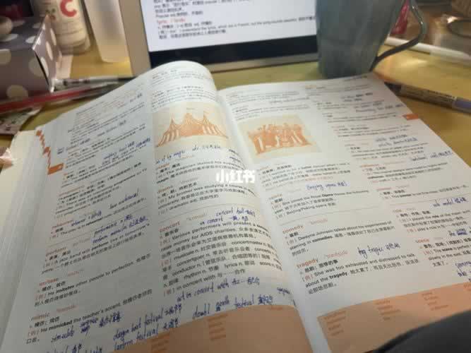 雅思培训